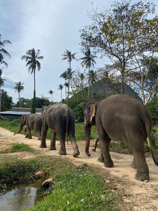 Amadha Villas Retreat - Free Tuk-Tuk Service To The Beach Ao Nang Luaran gambar
